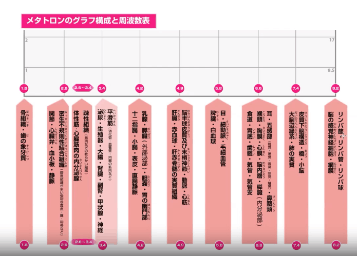 メタトロンの原理にも関連するトーションフィールドの概念図